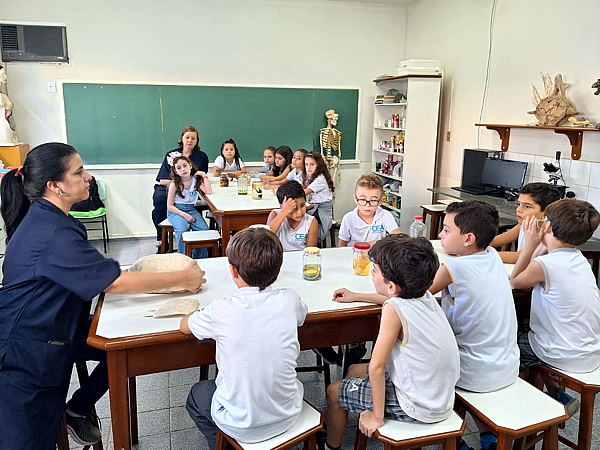 Fotos: Divulgação