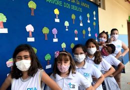 Fotos: Divulgação