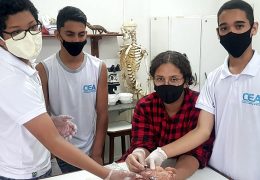Fotos: Divulgação