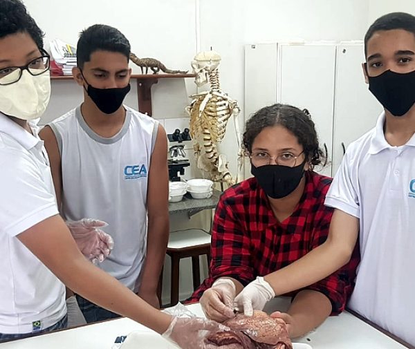 Fotos: Divulgação