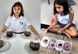Fotos: Divulgação
