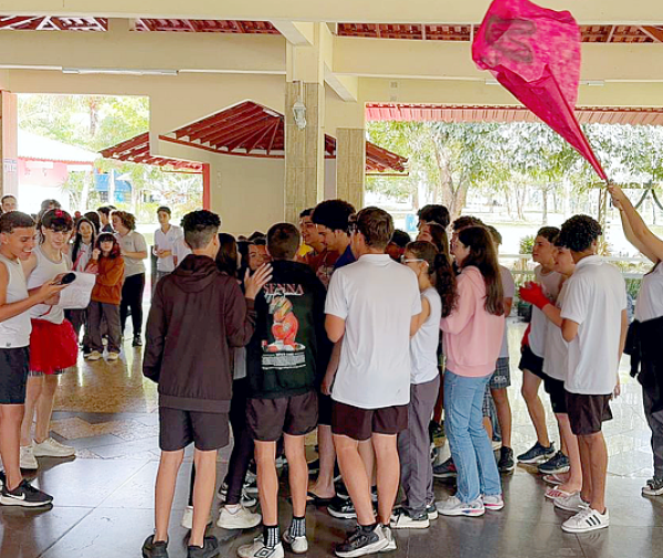 Fotos: Divulgação.