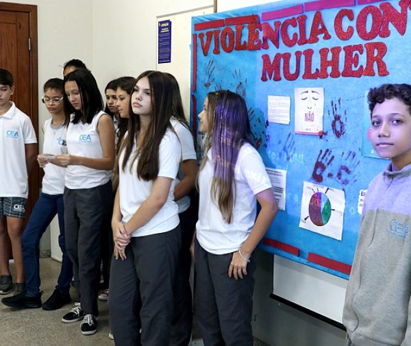 Fotos: divulgação