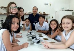 Fotos: Divulgação