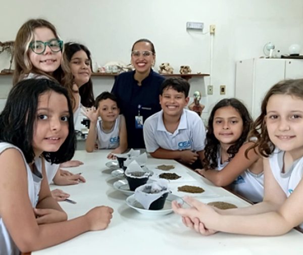 Fotos: Divulgação