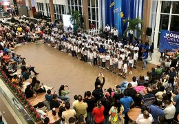 Fotos: Divulgação