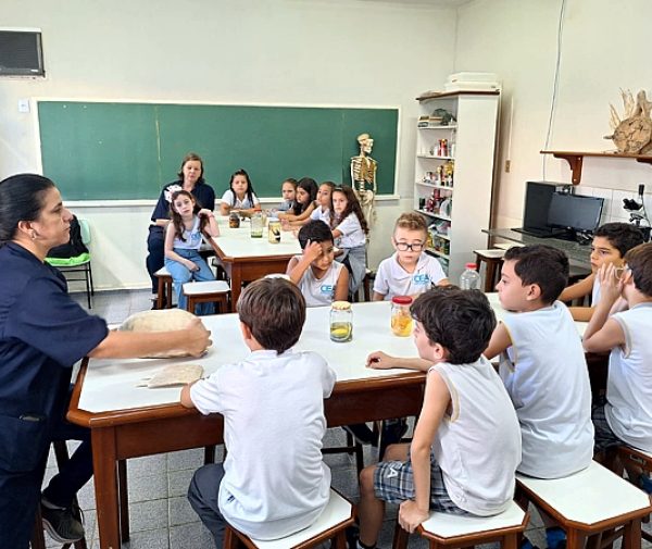 Fotos: Divulgação