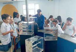 Fotos: Divulgação