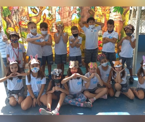 Fotos: Divulgação