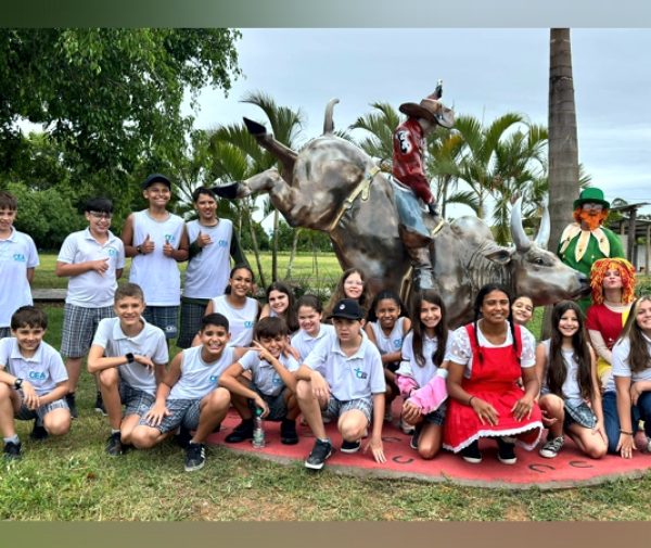 Fotos: Divulgação