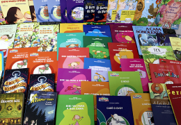 Fotos: Ana Clara Sigesmundo.