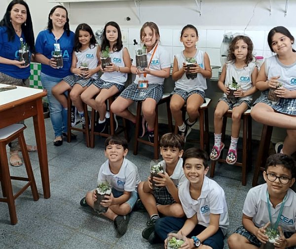 Fotos: Divulgação