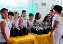 Fotos: Alessandro Bitti