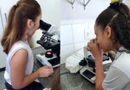 Fotos: Divulgação