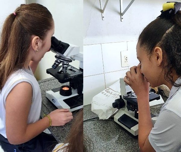 Fotos: Divulgação
