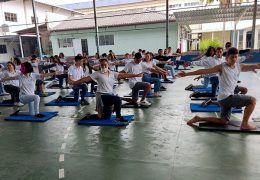 Fotos: Divulgação