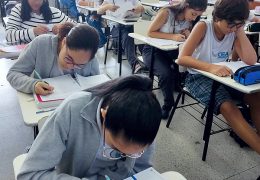 Fotos: Divulgação