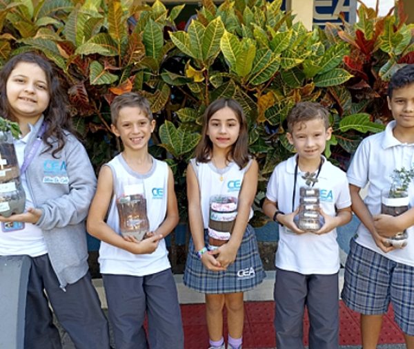 Fotos: Divulgação