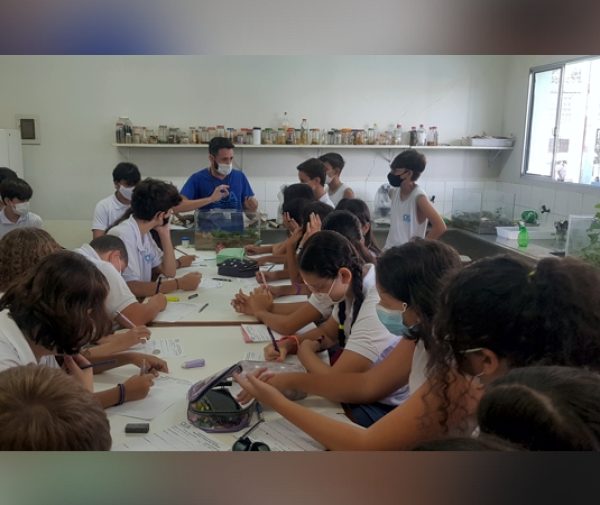 Fotos: Divulgação