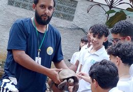 Fotos: Divulgação